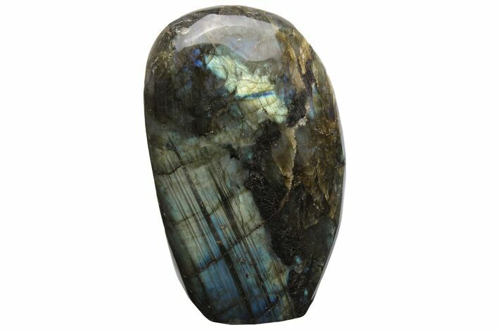 Flashy, Free-Standing Polished Labradorite - Madagascar #237856
